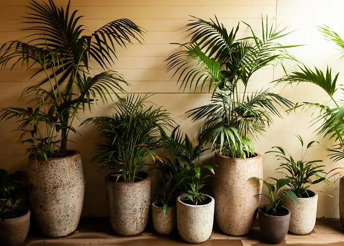 Fremantle Boutique Accommodation - Maand UpBoutique Hotel